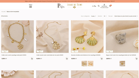 Page catégorie - mode client pro connecté